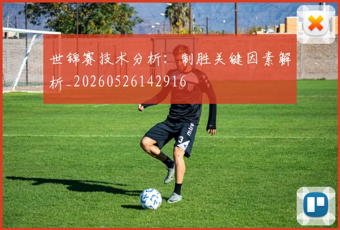 世锦赛技术分析：制胜关键因素解析_20260526142916